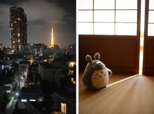 totoro2