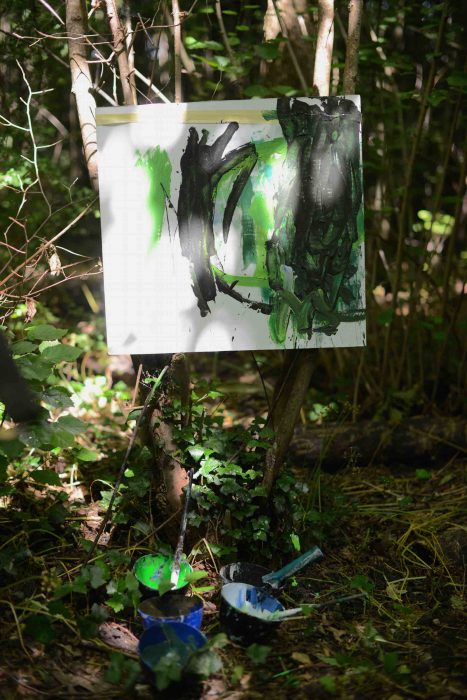 foret5